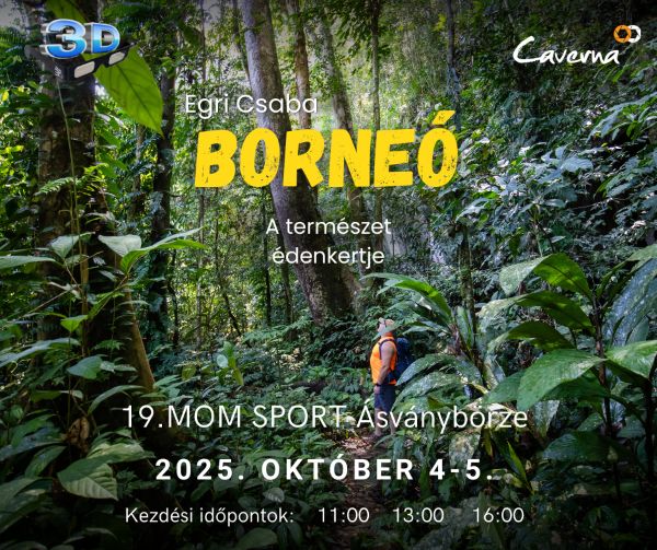 3d-vetítés-lelkes-ásványbörze-borneo